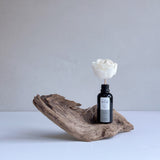 Pause No 3a Mini Sola Wood Flower Diffuser