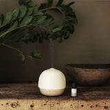 Electric Aromatherapy Diffuser Lamp