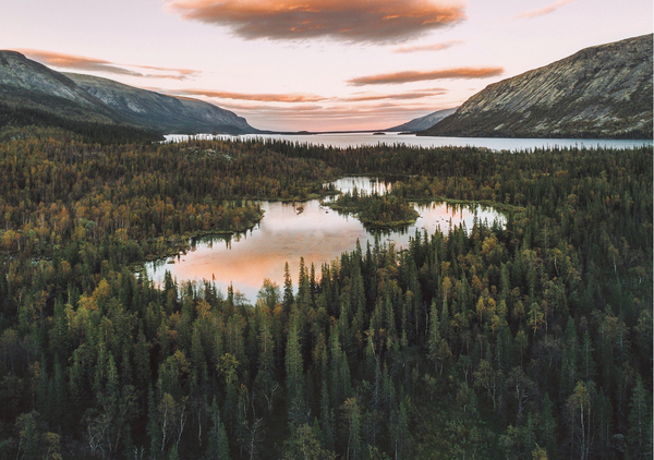 How to transition from winter to spring: wellness