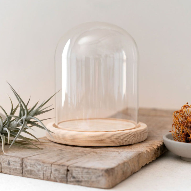Glass Cloche