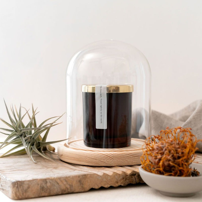 Glass Cloche