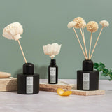 Pause No 3a Pom Pom Diffuser